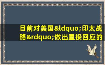 目前对美国“印太战略”做出直接回应的