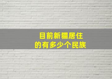 目前新疆居住的有多少个民族