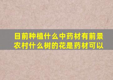 目前种植什么中药材有前景农村什么树的花是药材可以