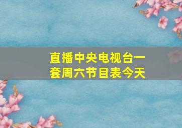 直播中央电视台一套周六节目表今天