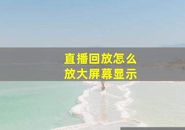 直播回放怎么放大屏幕显示