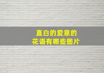 直白的爱意的花语有哪些图片