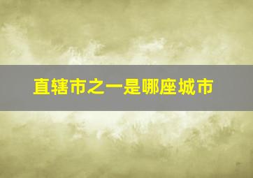 直辖市之一是哪座城市