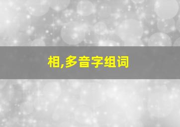 相,多音字组词