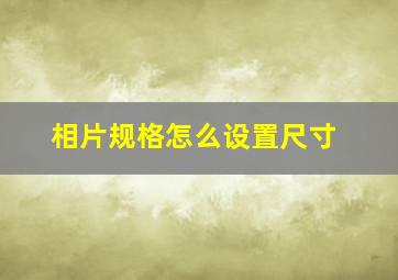 相片规格怎么设置尺寸