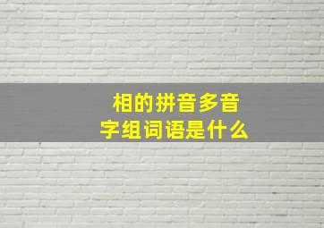 相的拼音多音字组词语是什么