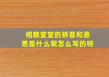 相貌堂堂的拼音和意思是什么呢怎么写的呀