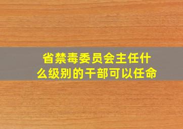 省禁毒委员会主任什么级别的干部可以任命