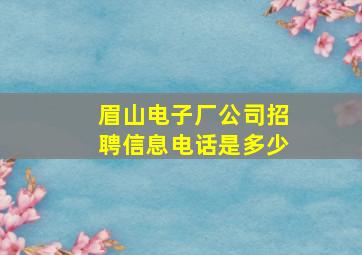 眉山电子厂公司招聘信息电话是多少