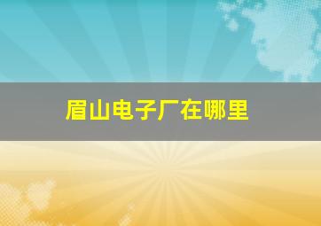 眉山电子厂在哪里