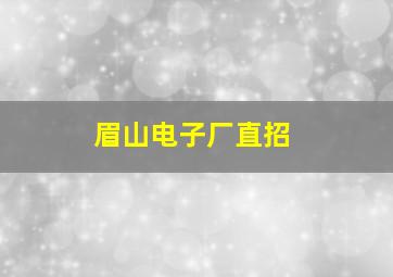 眉山电子厂直招