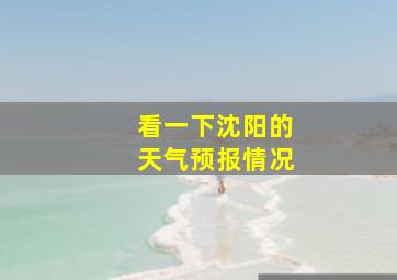 看一下沈阳的天气预报情况