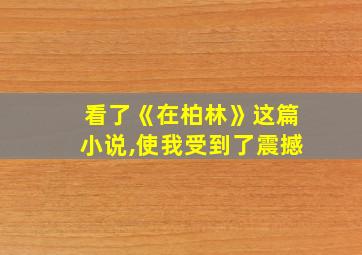 看了《在柏林》这篇小说,使我受到了震撼