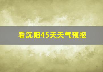 看沈阳45天天气预报