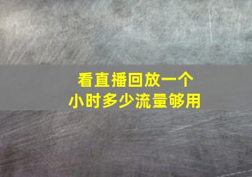 看直播回放一个小时多少流量够用