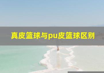 真皮篮球与pu皮篮球区别