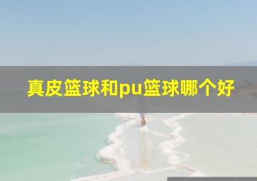 真皮篮球和pu篮球哪个好