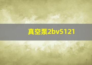 真空泵2bv5121