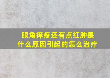 眼角痒疼还有点红肿是什么原因引起的怎么治疗