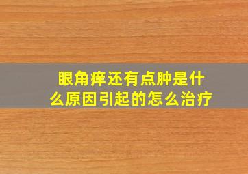 眼角痒还有点肿是什么原因引起的怎么治疗