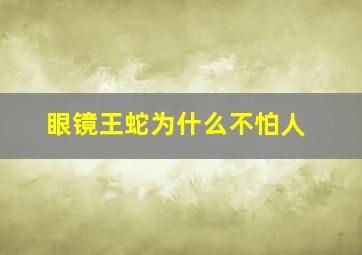 眼镜王蛇为什么不怕人