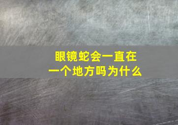 眼镜蛇会一直在一个地方吗为什么