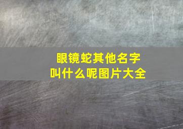 眼镜蛇其他名字叫什么呢图片大全