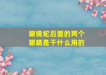 眼镜蛇后面的两个眼睛是干什么用的