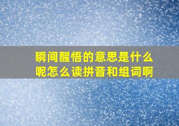 瞬间醒悟的意思是什么呢怎么读拼音和组词啊