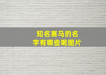 知名赛马的名字有哪些呢图片