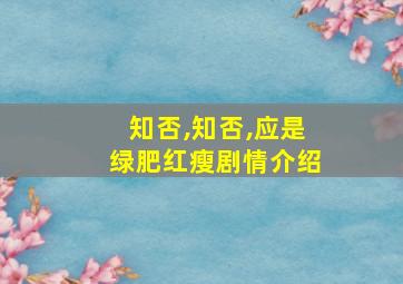 知否,知否,应是绿肥红瘦剧情介绍