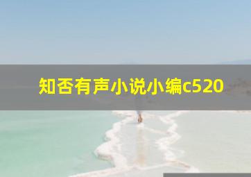 知否有声小说小编c520