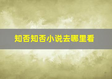 知否知否小说去哪里看