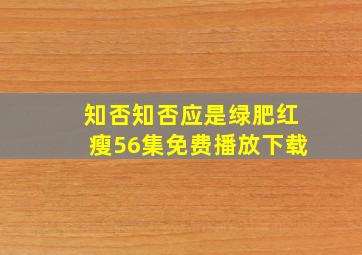 知否知否应是绿肥红瘦56集免费播放下载