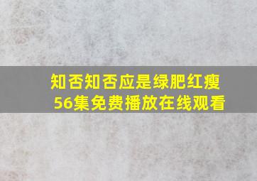 知否知否应是绿肥红瘦56集免费播放在线观看