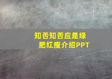 知否知否应是绿肥红瘦介绍PPT