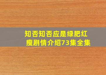 知否知否应是绿肥红瘦剧情介绍73集全集