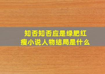 知否知否应是绿肥红瘦小说人物结局是什么