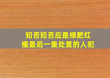 知否知否应是绿肥红瘦最后一集处置的人犯