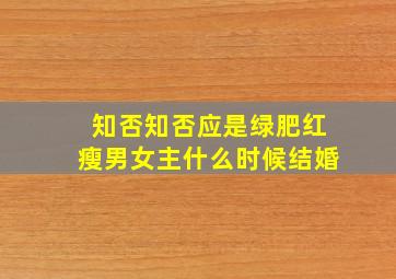 知否知否应是绿肥红瘦男女主什么时候结婚