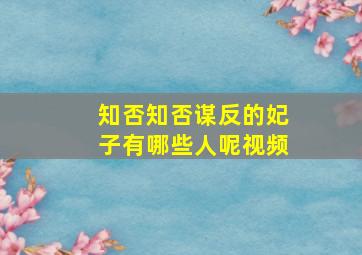 知否知否谋反的妃子有哪些人呢视频