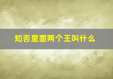 知否里面两个王叫什么