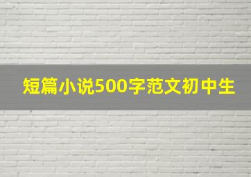 短篇小说500字范文初中生