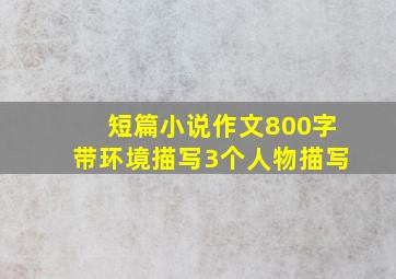 短篇小说作文800字带环境描写3个人物描写