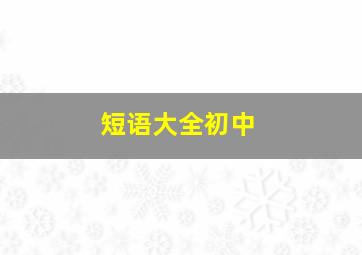 短语大全初中