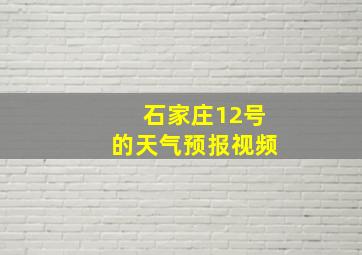 石家庄12号的天气预报视频