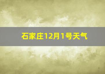 石家庄12月1号天气