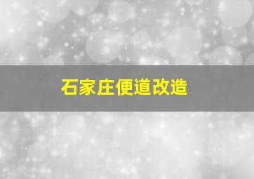 石家庄便道改造