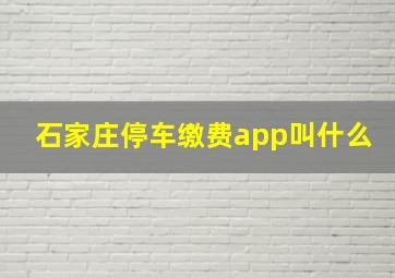 石家庄停车缴费app叫什么