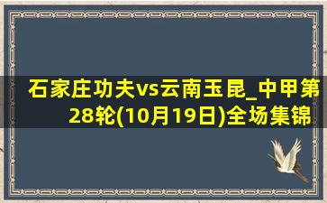 石家庄功夫vs云南玉昆_中甲第28轮(10月19日)全场集锦